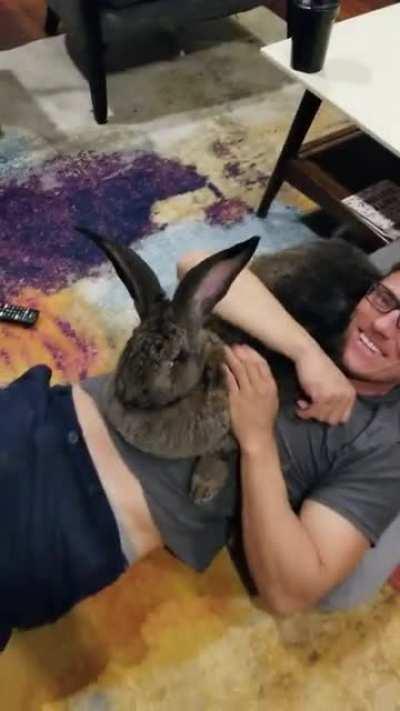 My real life teddy bear