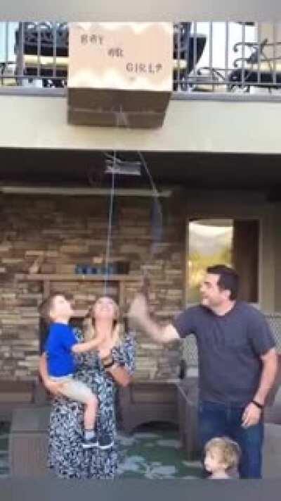 Gender reveal WCGW