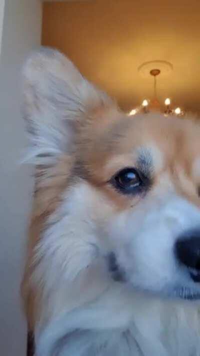 When your magic needs a little more practice