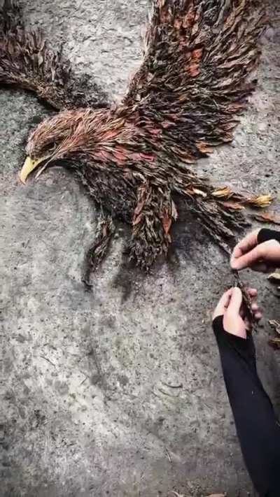 Composing  an eagle literally from nature