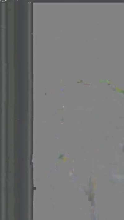 Burr bur bur Burrito