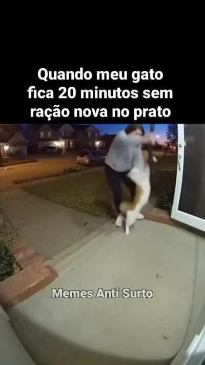 IA tá produzindo vídeos absurdos. Esse negócio de IA, mas não FOI é um equívoco