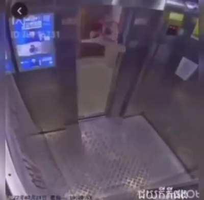 Ayo who's immortal dawg is this?