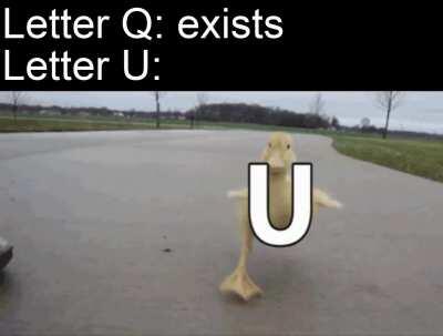 U always comes after Q. Queen. Quarry. Quilt.