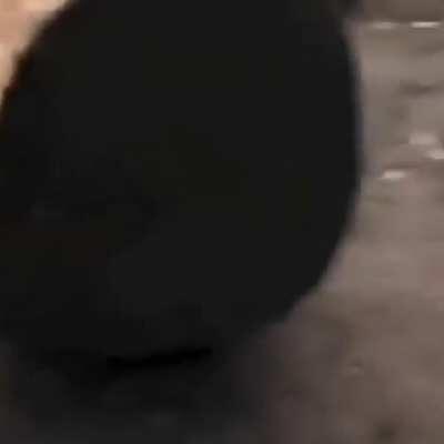 Which one is your favorite??