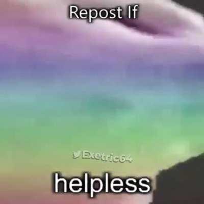 Repost if yes
