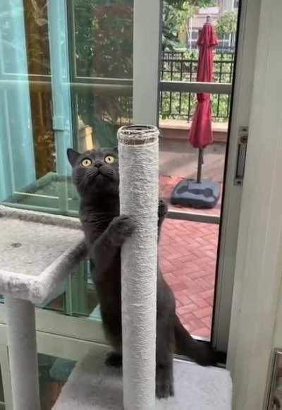 The first night on the pole can be daunting...