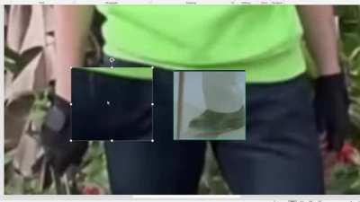 dream pics 😳😳😳