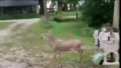 I came, I posted, I'm leaving