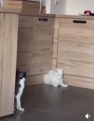 They are literally liquid