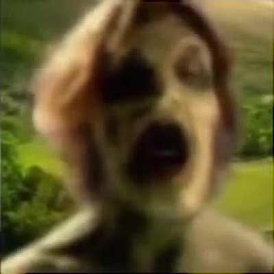 A CAR THAT FLYS (NO CLICKBAIT!!)