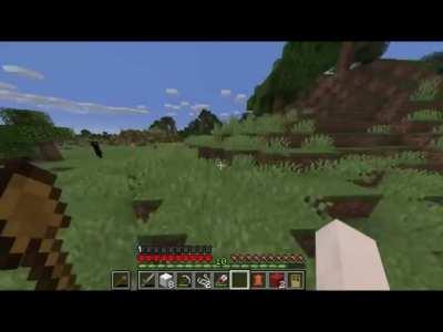 Oh thats an enderman right