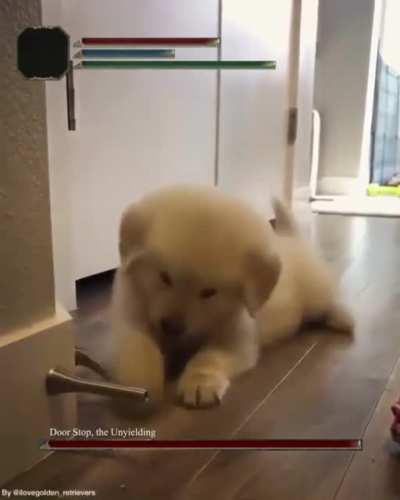 Door Stop, the Unyielding