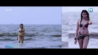 do.cehre;n.dhama.chokr