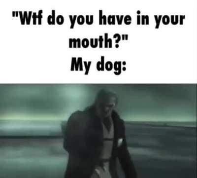 Just saw this on discord