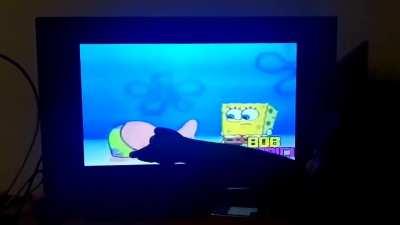 Hey guys! Look at this. 😉