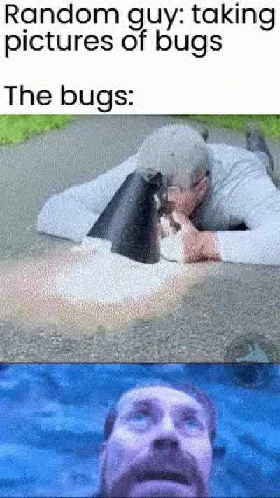 What is going on up there?