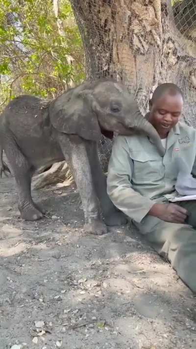 I just need to experience love from a baby elephant at least once in my life