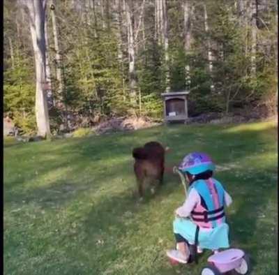 Идея отличная, реализация так себе)