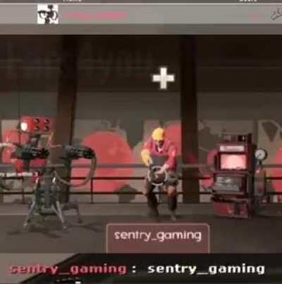 sentry_gaming