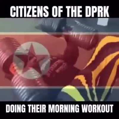 Average DPRK Citizen's Morning Workout (Juche Workout- 2 reps until fail)