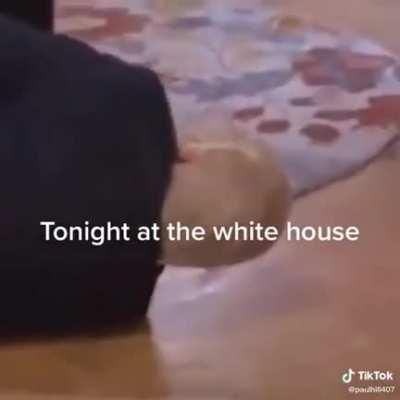 trump on January 20th