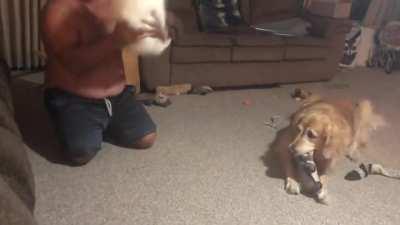 The trashpanda flip! Her and Daddy can do this for hours.