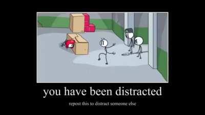 the ultimate distraction to the ultimate troll