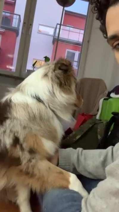 The face he makes when I stop 😂