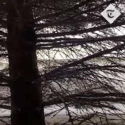 Footage filmed by Telegraph shows the reality for Ukrainian soldiers on the front line.