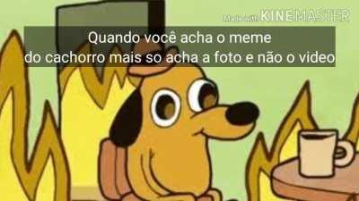 Me mandem o vídeo desse meme prfv