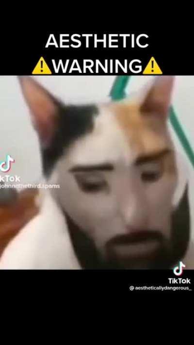 Just an Athestic Warning (REUPLOAD NOT MINE)