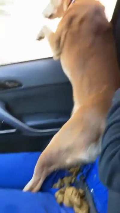 Enjoy the nice breeze.