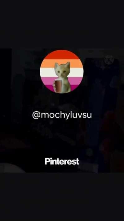 my sushi cat people need me