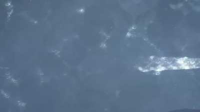 I’m making a game about exploring the ocean while a sea monster hunts you down