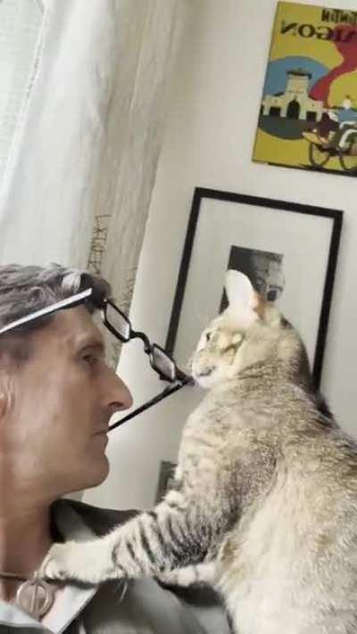 My SIC/Aby Hot Rod needs glasses