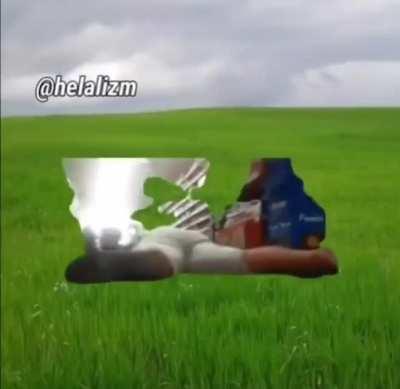 Obez çingen dünyada karısını arıyor