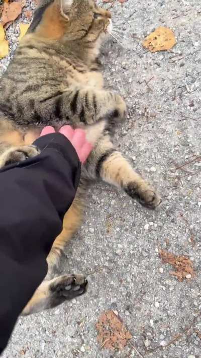 Chatty baby in Bavaria