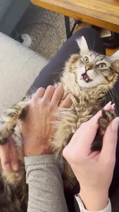 Harrison gets a bit dramatic when we cut his nails.