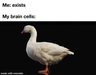 Guess this post is a bit [QUACK]ers