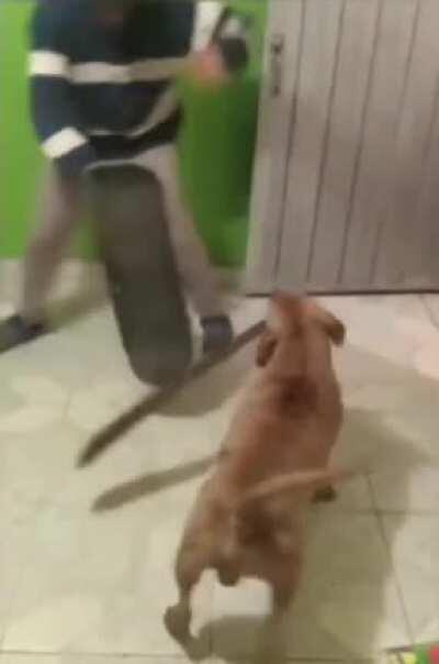 Don't help while firulais tries to kill me with a machete