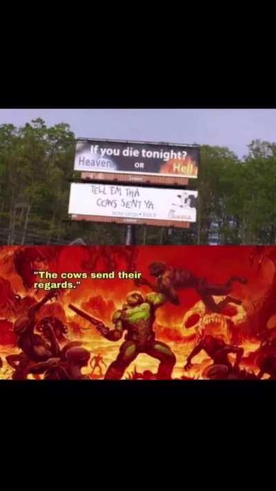 The cows sent there regards