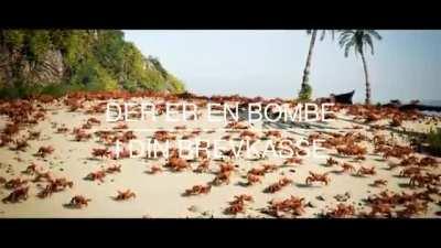 hvad hedder du min ven