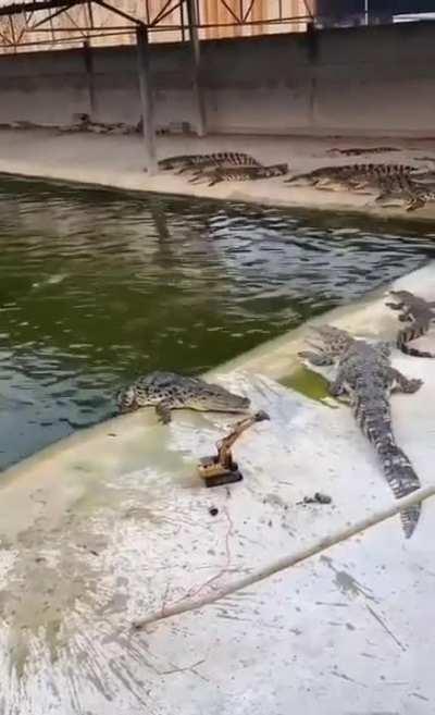 Just dudes being guys