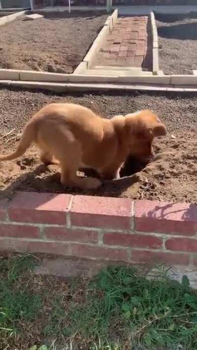 Nothing to see here !