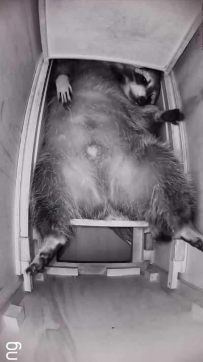 Real footage of me after NEET