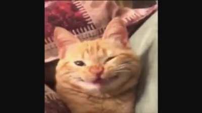 Not my scrunge but very cute