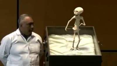 Lo que no se vio en la audiencia del congreso