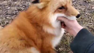 Thought this was genuinely funny.....