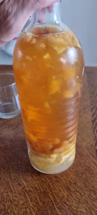 There is life in here ! F2 manguo/ginger. Manguo helps a lot !